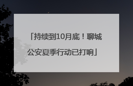 持续到10月底！聊城公安夏季行动已打响